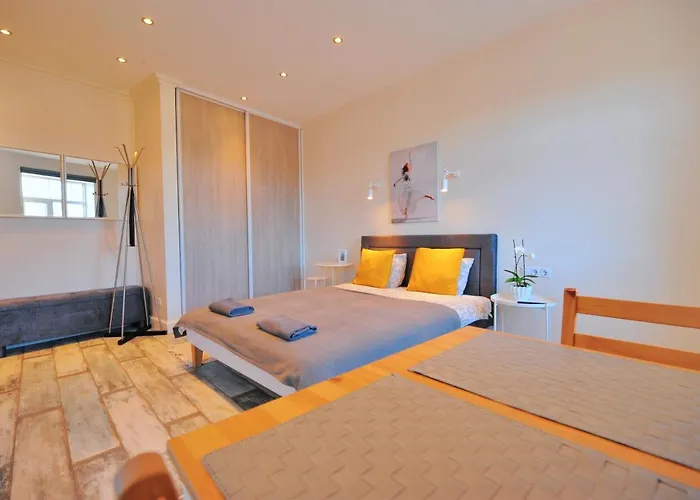 Gertrudes In Light-filled In Riga